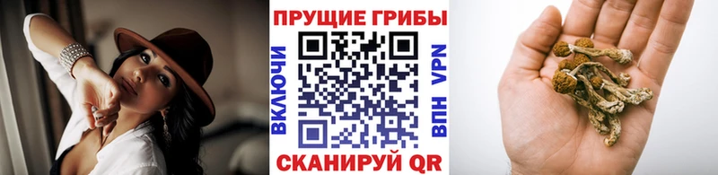 Псилоцибиновые грибы мухоморы  Рассказово 
